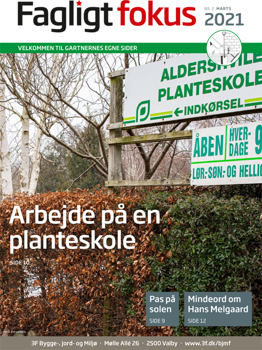 Fagligt Fokus nr. 2 2021 Brancheblad Groenne