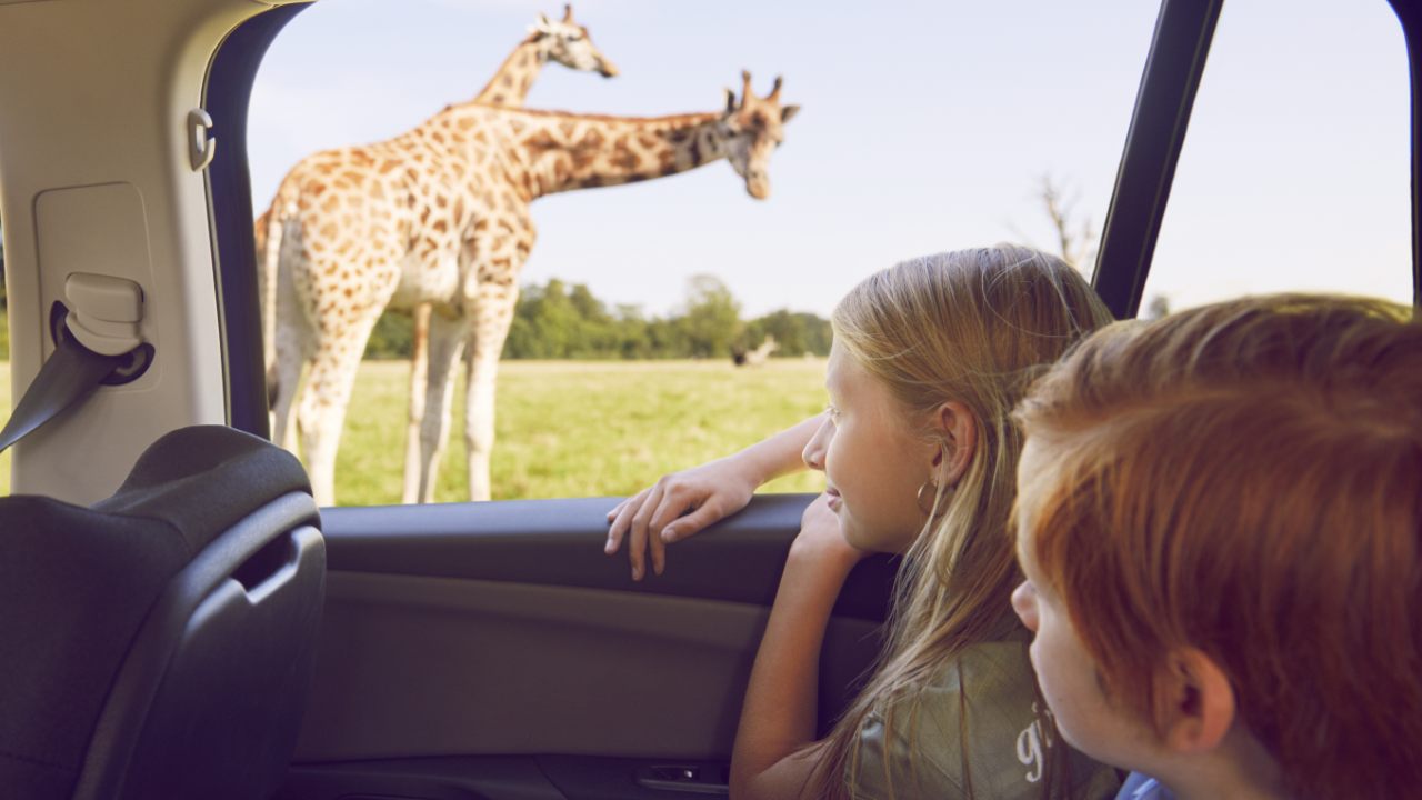 Børn i Knuthenborg Safaripark
