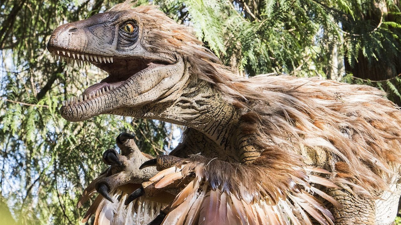 Deinonychus i Evolutionsmuseet i Knuthenborg